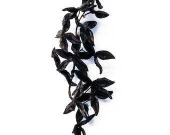 Creepy Dyed Black Cottonwood Seed Pod Clusters: Halloween, Natural Art Supply