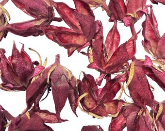 Handmade Wine Red Rose of Sharon Seed Pods: Hibiscus, Craft Supplies