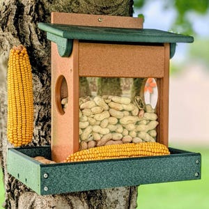 Corn & Peanut Squirrel Feeder | Eco-Friendly Poly Lumber | Amish Made Wildlife Feeder