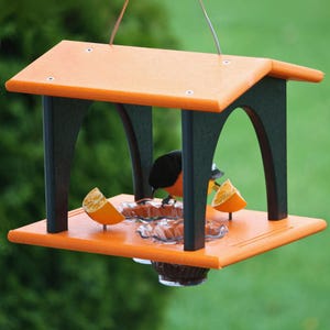 Deluxe Oriole Twin Bird Feeder, Jelly & Fruit Feeder, Amish Handcrafted from Poly Lumber