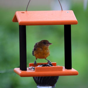 Oriole Classic Feeder