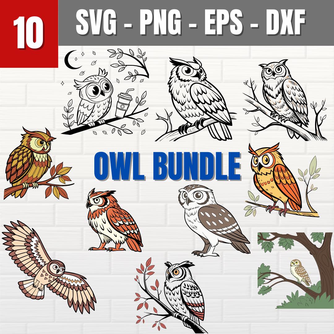 Owl SVG Bundle | Cute Owl Clipart | Woodland Bird SVG Cut Files for Cricut & Silhouette | svg pn