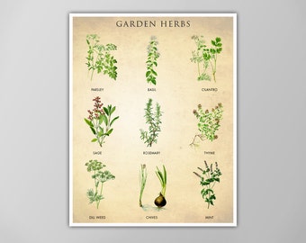 Garden Herbs Poster - Kitchen Decor - Herbs and Spices Chart - Botanical Herbs Art Print - Cooking Wall Art - Giclee or Canvas!