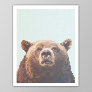 Grizzly Bear Art Print - Bear Poster - Modern Home Decor - Animal Poster - Nature Wall Art