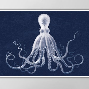 Lord Bodner's Octopus - Giant Octopus Poster - Nautical Art Print - Navy Blue - X-Large Sizes Available