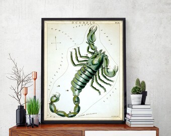 Scorpio Art Print - Horoscope Poster - Zodiac Sign - Constellation Illustration - Scorpion Print - Astrology Decor - Giclee or Canvas!