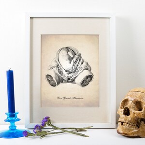 Uterus Art Print In Utero Poster Fetus in Womb Scientific Illustration Medical Drawing Giclee or Canvas image 2