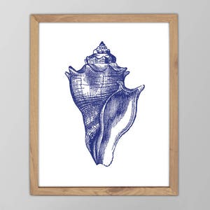 Sea Shell Print - Marine Art - Minimalist Nautical Wall Art - Beach House Decor - Conch Shell Poster - Giclee or Canvas - Custom Colors!