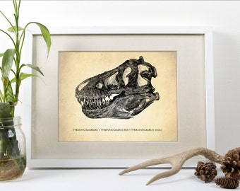 Tyrannosaurus Rex Skull - Dinosaur Art Print - T-Rex Natural History Poster - X-Large Sizes Available!