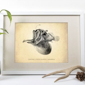 Anglerfish Art Print - Ocean Life Poster - Science Classroom Decor - Natural History Poster - Specimen Chart - Marine Biology Wall Art
