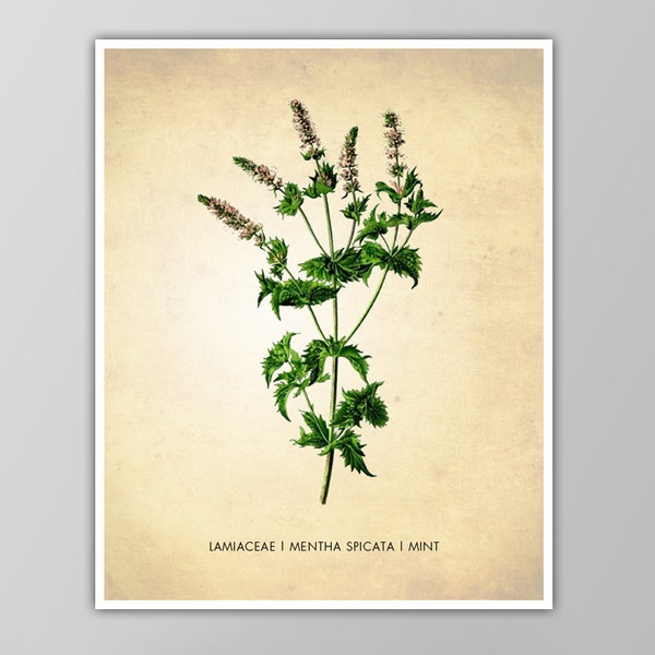 Mint Kitchen Art Etsy
