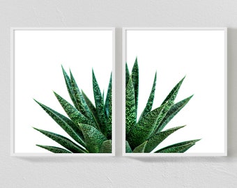 Succulent Diptych - Two Piece Print Set - Botanical Art Prints - Minimalist Decor - Cactus Poster - X-Large Size Options