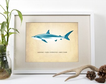 Mako Shark Art Print - Natural History Poster - Scientific Wall Art - Biology Classroom Decor - Marine Life Art - Giclee or Canvas!