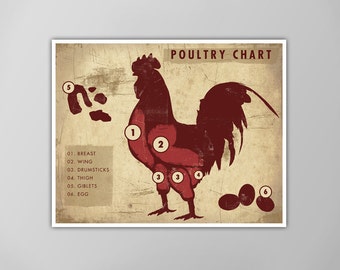 Poultry Meat Chart - Rustic Butcher Chart - Chicken Art Print - Cooking Art - Kitchen Poster - Meat Cuts - Food and Drink Decor