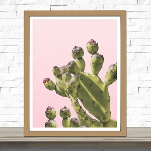 Cactus Art Print - Prickly Pear - Desert Cactus Photo - South West Decor - Botanical Art - Custom Color Options
