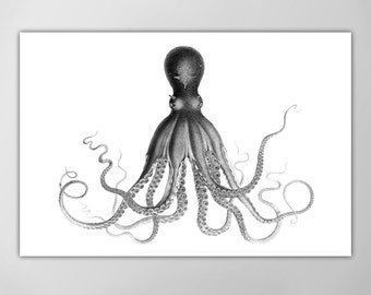 Lord Bodner's Octopus Poster - Nautical Art Print - Giant Octopus Canvas - Kraken Print - Custom Color Option!