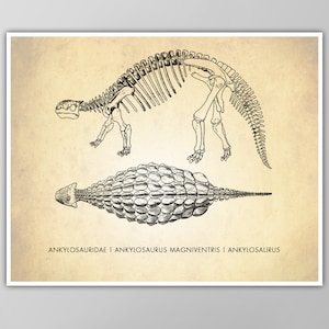 Ankylosaurus Art Print Dinosaur Poster Hard Shell Dinosaur Dino Print Science Classroom Wall Art Kids Room Decor image 1