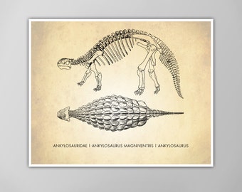 Ankylosaurus Art Print - Dinosaur Poster - Hard Shell Dinosaur - Dino Print - Science Classroom Wall Art - Kids Room Decor