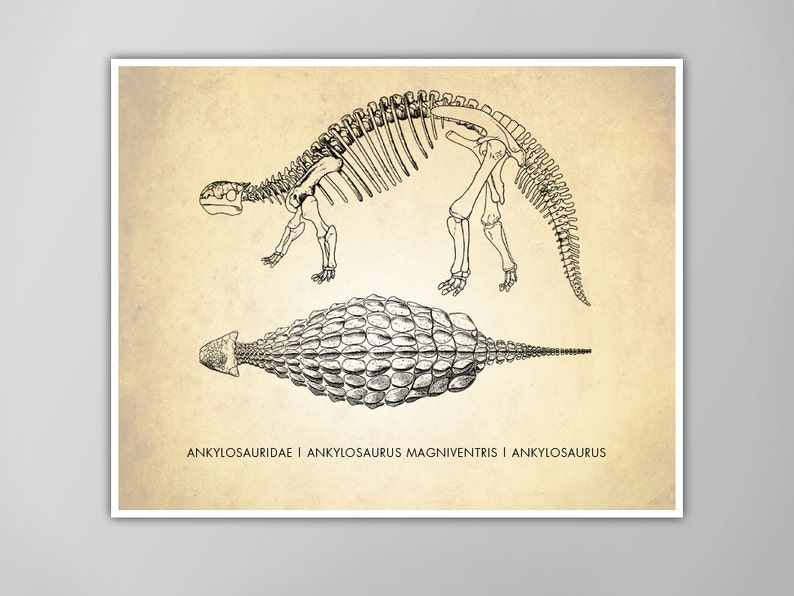 Ankylosaurus Art Print Dinosaur Poster Hard Shell Dinosaur Dino Print Science Classroom Wall Art Kids Room Decor image 1