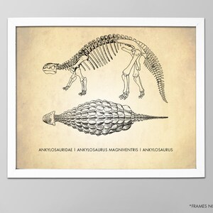 Ankylosaurus Art Print Dinosaur Poster Hard Shell Dinosaur Dino Print Science Classroom Wall Art Kids Room Decor image 3