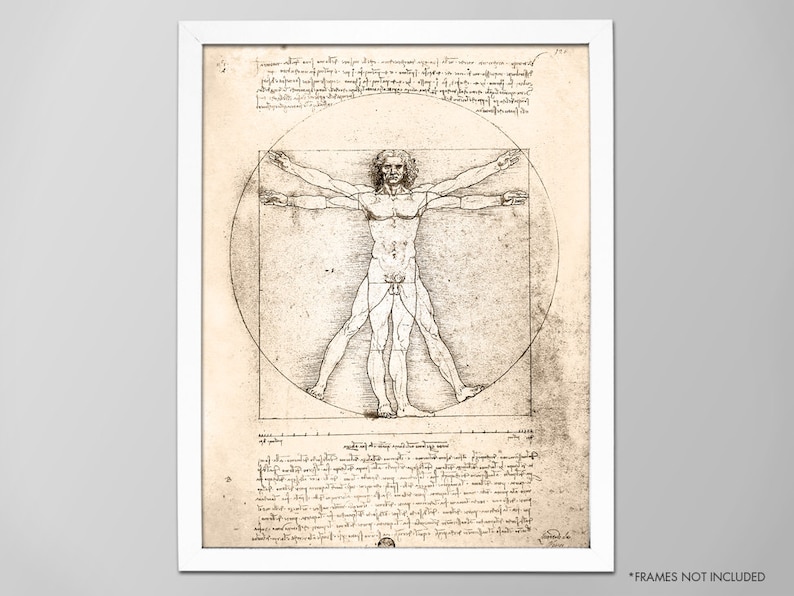 Vitruvian Man Da Vinci Human Anatomy Art Print Leonardo Da | Etsy