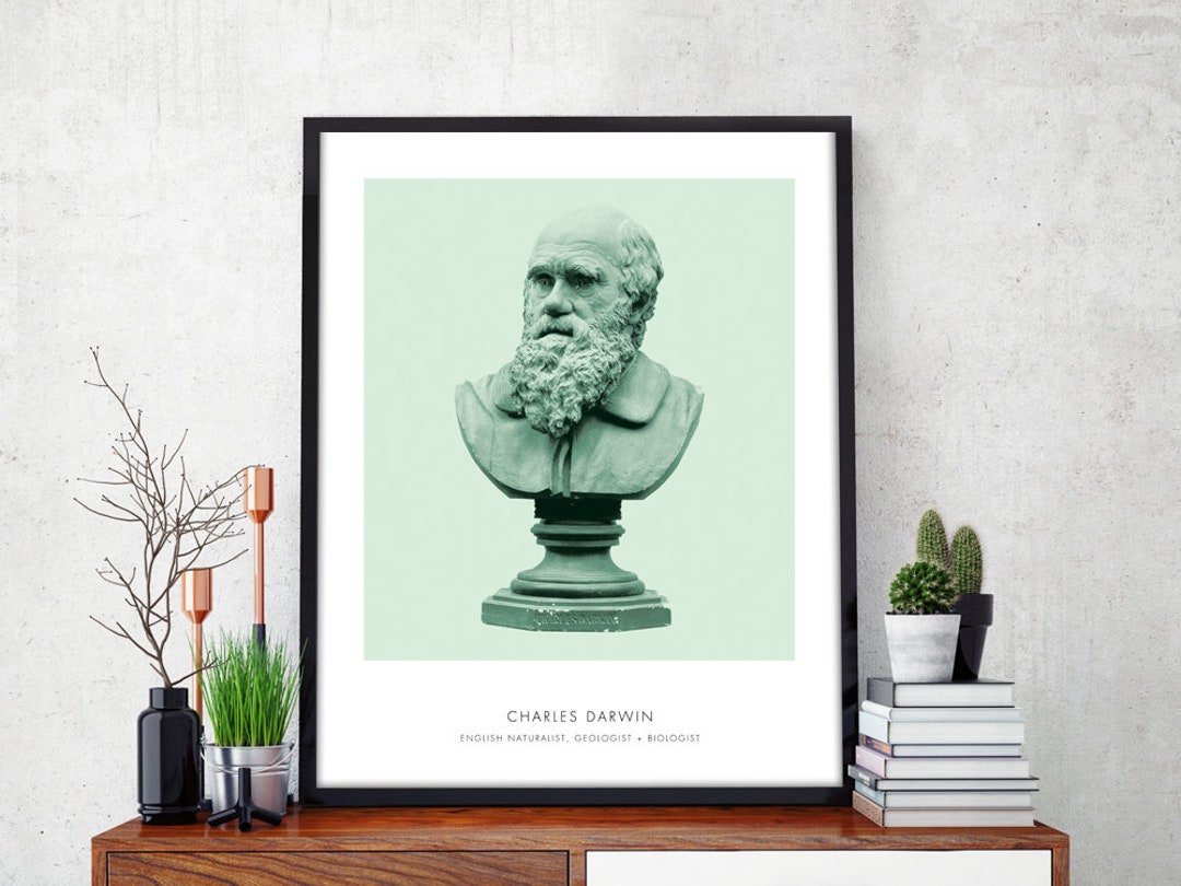 Charles Darwin - Portrait of Darwin - Darwin Bust Art Print - Modern ...