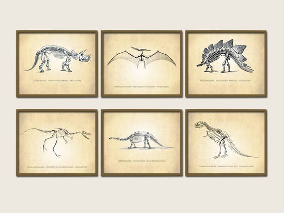Dinosaur Art Print Set - 6 Posters Included - Stegosaurus - Triceratops - Pteranodon - Velociraptor - Brontosaurus - T-Rex