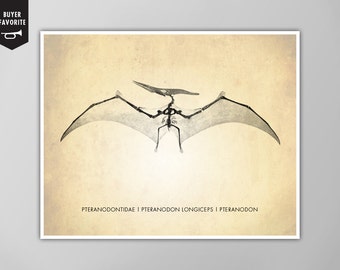 Pteranodon Art Print - Dinosaur Poster - Natural History Decor - Pterodactyl Print - Canvas and Giclee Options!