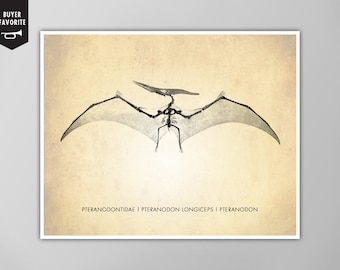 Pteranodon Art Print - Dinosaur Poster - Natural History Decor - Pterodactyl Print - Canvas and Giclee Options!