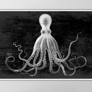 Lord Bodner's Octopus - Giant Octopus Poster - Nautical Art Print - Charcoal Background - X-Large Sizes Available