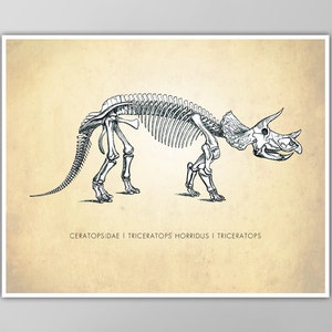 Triceratops Dinosaur Art Print - Dinosaur Wall Art - Natural History Poster - Kids Room Decor - Giclee or Canvas!