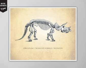 Triceratops Dinosaur Art Print - Dinosaur Wall Art - Natural History Poster - Kids Room Decor - Giclee or Canvas!