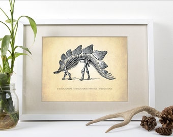 Stegosaurus Art Print - Natural History Poster - Dinosaur Wall Art - Kids Room Decor - Giclee or Canvas!