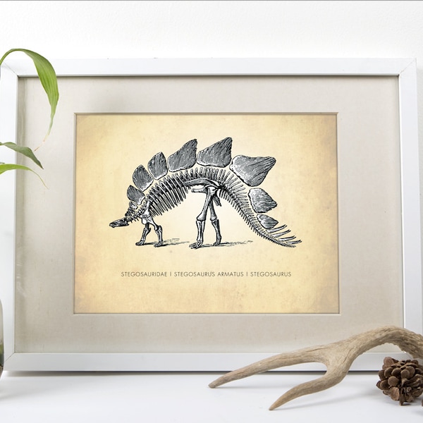 Stegosaurus Art Print - Natural History Poster - Dinosaur Wall Art - Kids Room Decor - Giclee or Canvas!