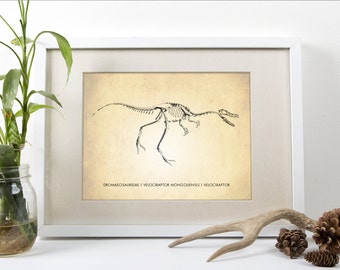 Velociraptor Art Print - Dinosaur Poster - Natural History Wall Art - Raptor Print - Kids Room Decor - Giclee or Canvas!