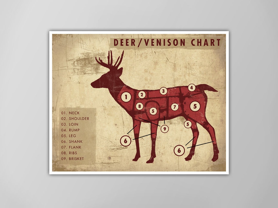 Deer Venison Meat Chart Rustic Butcher Chart Meat Cuts Poster Cooking