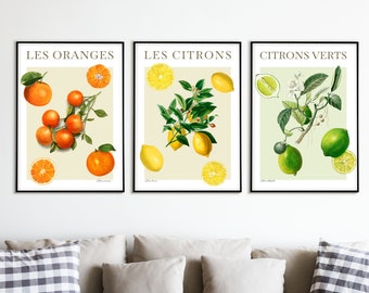 Ensemble d'impressions d'agrumes - affiches de fruits - art du marché de producteurs - art de la cuisine - art botanique - oranges - citrons verts - citrons - 3 impressions incluses