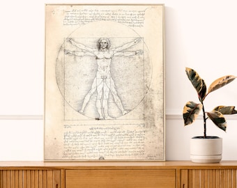 Leonardo Da Vinci Art Print - Vitruvian Man - Da Vinci Reprint - Extra Large Print - Giclee or Canvas - Human Anatomy Art
