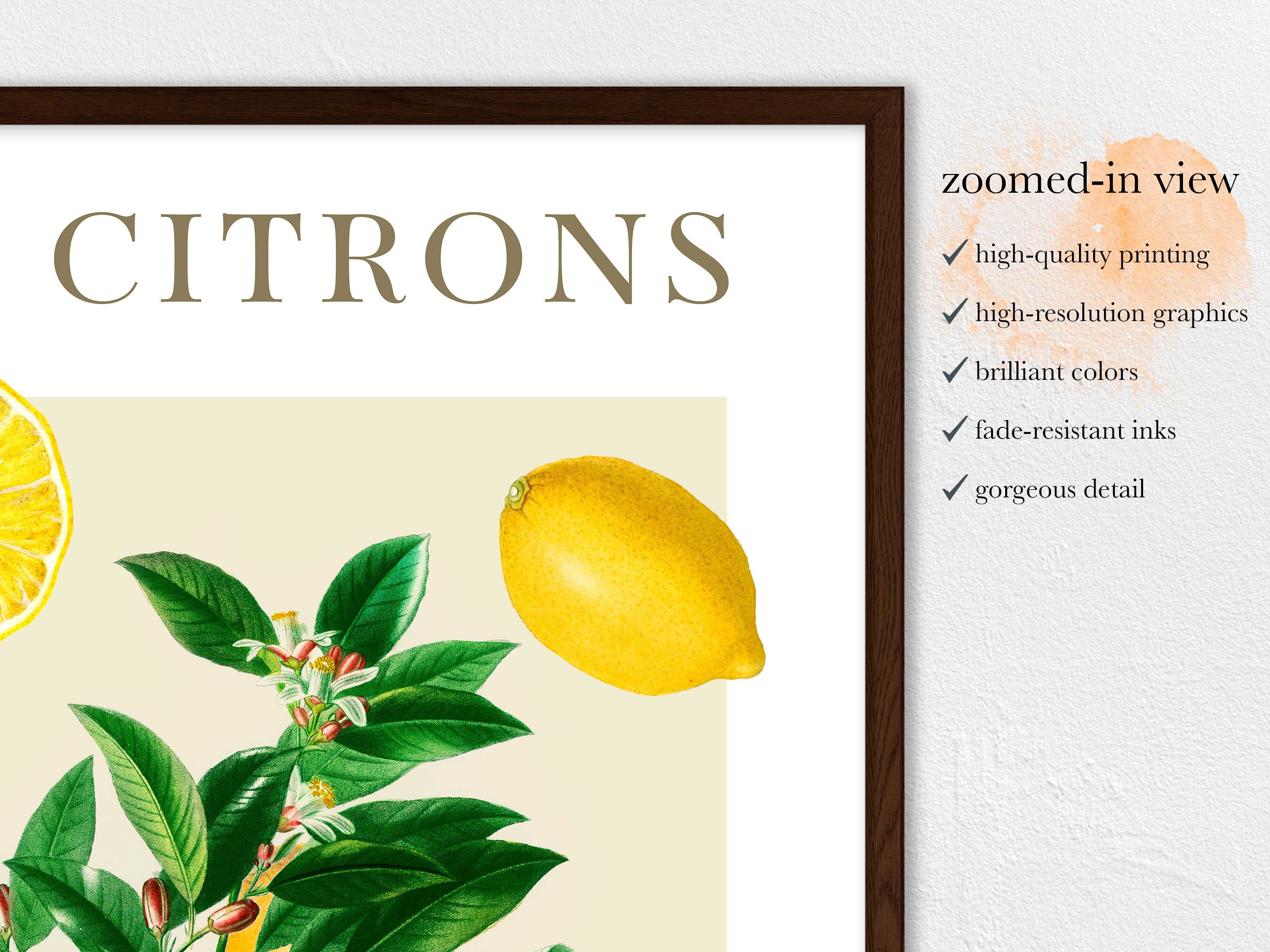Les Citrons Poster - Fruit Market Lemon Print - Farmer's Market Art ...