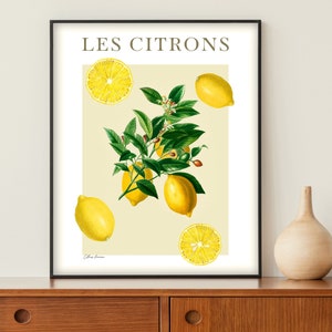 Les Citrons Poster - Fruit Market Lemon Print - Farmer&#39;s Market Art - Citrus Sign - Kitchen Decor - Botanical Wall Art