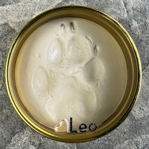 May include: A pet paw print in a round, gold-rimmed container. The print is beige and detailed, with the name "Leo" below it, accompanied by a small gold heart. The container sits on a textured surface.