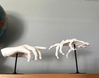 Creation Reimagined – Human & Skeletal Hand Sculpture
