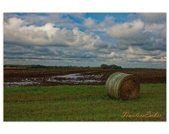 Wood Print of Hay Bales #2