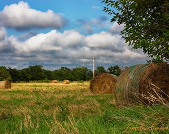 Hay Bales in a Field