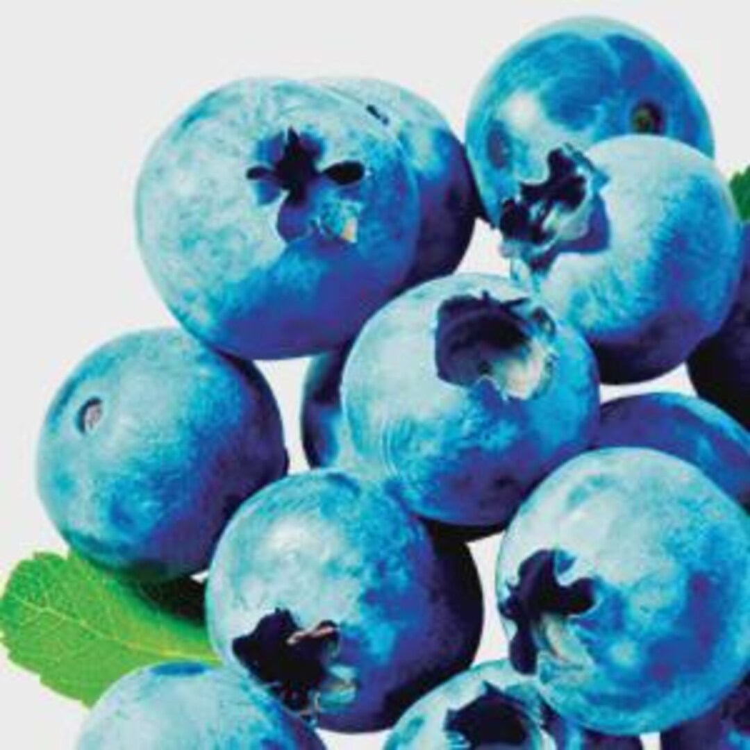 Blueberry Scent, Orthopedic Cast Fragrance Bar, Wax Fragrance Bar ...