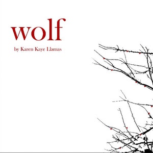 Wolf Illustrated Story PDF - art book, illustration book, fairy tale perzine, zine download