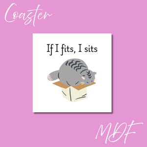 Funny Cat Coaster - If I Fits I Sits - Unique Gift for Cat Lovers