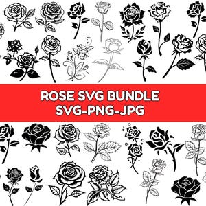 May include: A selection of black and white rose illustrations in diverse styles. The image features detailed drawings of rose blooms, buds, and stems, with leaves. The text "ROSE SVG BUNDLE SVG-PNG-JPG" is displayed on a red banner.