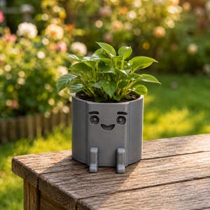Little Buddies Cute 3D Printed Planter with Saucer, Funny Face Indoor Plant Pot, Multiple Sizes