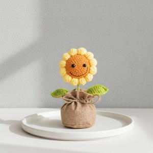 May include: A crocheted sunflower with a smiling face, yellow petals, and green leaves, presented in a small burlap sack tied with twine. The sunflower sits on a white, round plate.